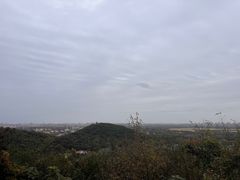 -上海佘山国家森林公园西佘山园