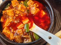 -陈麻婆豆腐总店