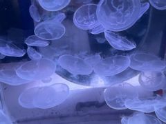 -常州海昌海洋探索馆