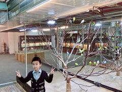 -上海大自然野生昆虫馆(东方明珠·爬宠昆虫探索中心)