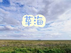 -金山嘴渔村
