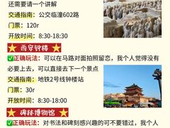 -秦始皇帝陵博物院(兵马俑)