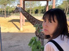 -石家庄市动物园