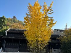 -阳明祠