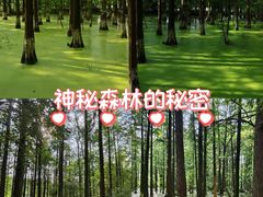 -艾溪湖湿地公园