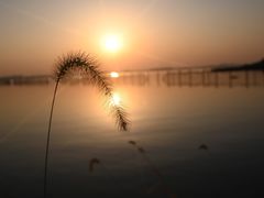 -漕湖湿地公园