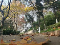 -菊花台公园