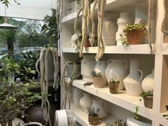 -自由生长植物工作室(深港花卉中心店)
