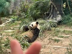 -石排湾郊野公园