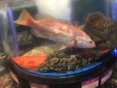 -陶陶居海鲜酒家(新马路店)