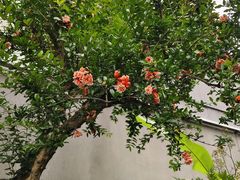 -木渎古镇