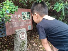 -梁鸿国家湿地公园