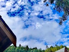 -山王坪喀斯特国家生态公园