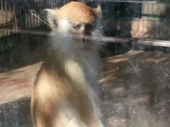 -昆明动物园