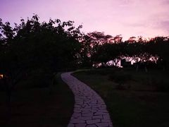 -白塘生态植物园