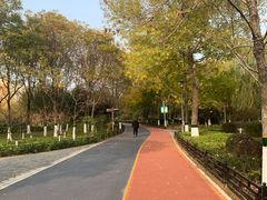 -大兴滨河森林公园