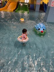 点击看大图 -宝燕乐园(闵行旗舰店)