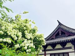 -常熟方塔园