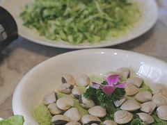 -陶缘一号·四季缘·老字号顺德菜·户外婚礼家宴(西滘店)