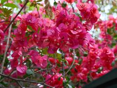 -豆舞咖啡(民乐路店)