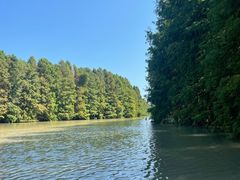 -上海海湾国家森林公园