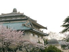 -武汉大学-樱园