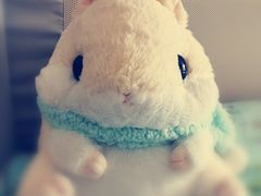 -LLJ夹机占(清河万象汇店)