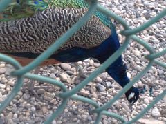 -南京金牛湖风景区