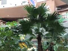 -吕氏疙瘩汤·海鲜新鲁菜(凯德mall新都心店)