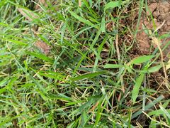 -西部长青自然儿童乐园