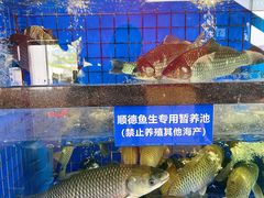-飞尝蚝·顺德菜·鱼生(顺德总店)