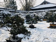 -水绘园