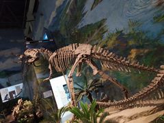 -自贡恐龙博物馆