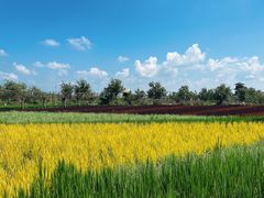 -稻梦空间冰雪小镇