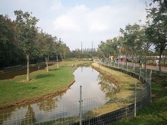 -上海长兴岛郊野公园