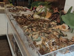 -鲤鱼洲酒店港鲤咖啡厅