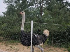 -山西乌金山旅游区