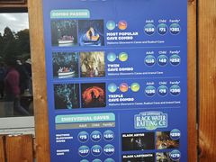 -怀托摩萤火虫洞