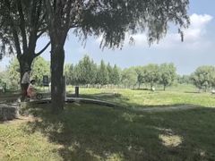 -乐行自行车运动乐园