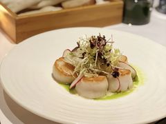 -蝶舍·MAISON PAPILLON