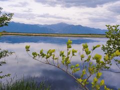 -野鸭湖国家湿地公园