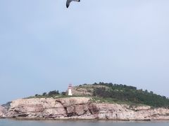 -长岛万鸟岛