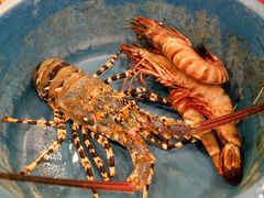 -真浪花园海鲜餐馆