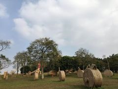 -松山湖梦幻百花洲