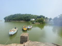 -巢湖姥山岛