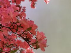 -苏州上方山国家森林公园