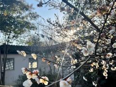 -石湖景区