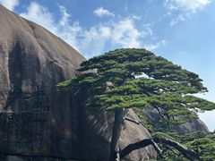 -黄山风景区