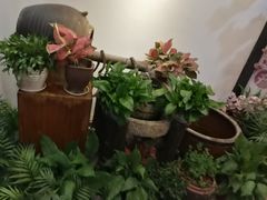 -桂客膳房·珍品堂
