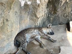 -杭州野生动物世界